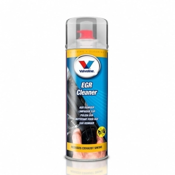 EGR CLEANER 12/500 ML SW 0
